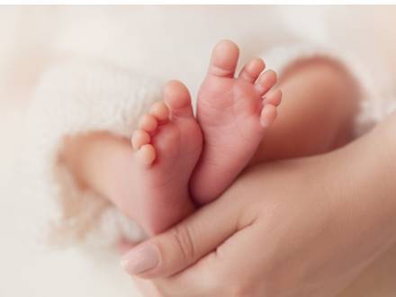 DuPage County, IL paternity attorney